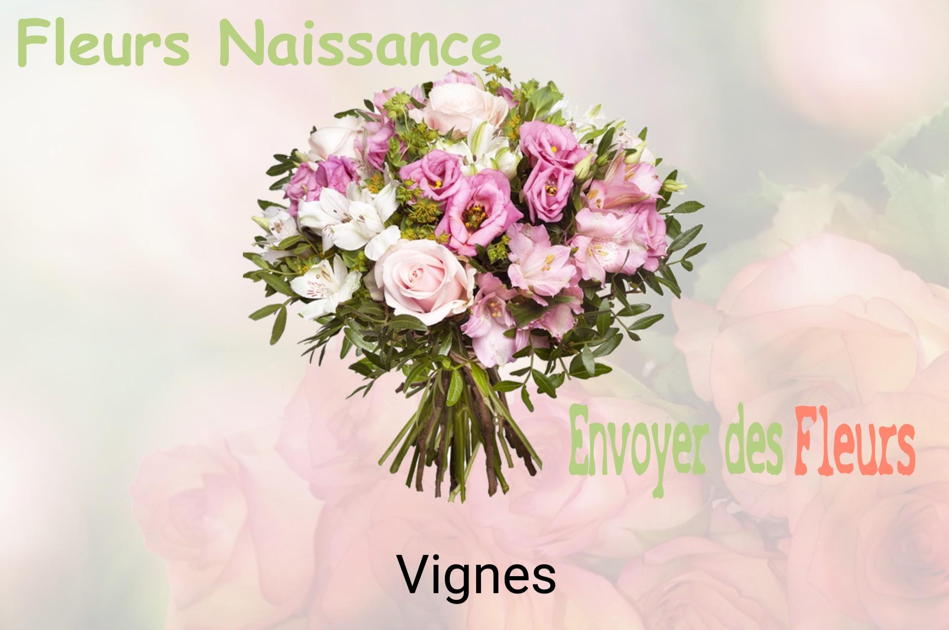 Bouquet de fleurs de naissance livré à Vignes